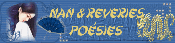 BONJOUR LES AMIS SI VOUS ETES POETES OU ROMANCIERS